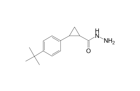 Cyclopropanecarbohydrazide, 2-[4-(1,1-dimethylethyl)phenyl]-