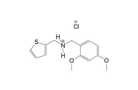 N-(2,4-dimethoxybenzyl)(2-thienyl)methanaminium chloride