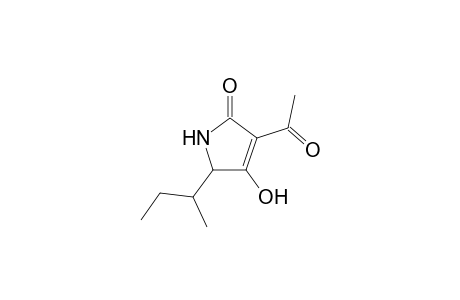 3-Acetyl-4-hydroxy-5-(1-methyl-propyl)-3-pyrrolin-2-one