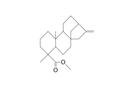 Kaur-16-en-19-oic acid, methyl ester