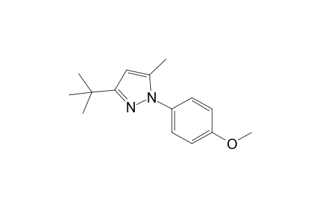 3-tert-Butyl-1-(4-methoxyphenyl)-5-methylpyrazole