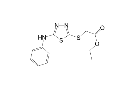 ethyl 2-[(5-anilino-1,3,4-thiadiazol-2-yl)sulfanyl]acetate
