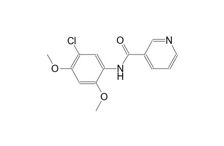 N-(5-chloro-2,4-dimethoxyphenyl)nicotinamide