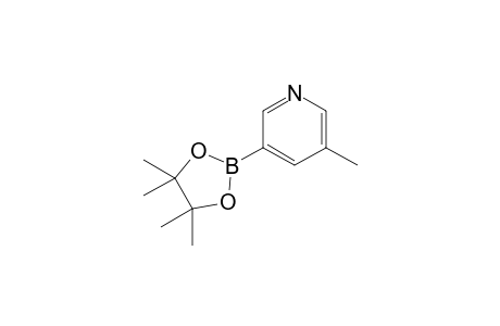 3-(4,4,5,5-Tetramethyl-1,3,2-dioxaborolan-2-yl)-5-methylpyridine