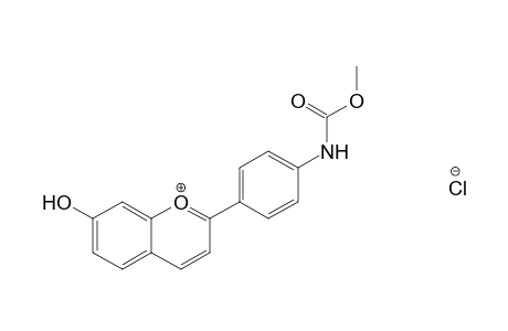 7-Hydroxy-2-(4-methoxycarbonylaminophenyl)-chromenium chloride