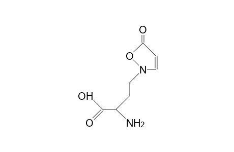 2-(3-Amino-3-carboxy-propyl)-isoxazolin-5-one