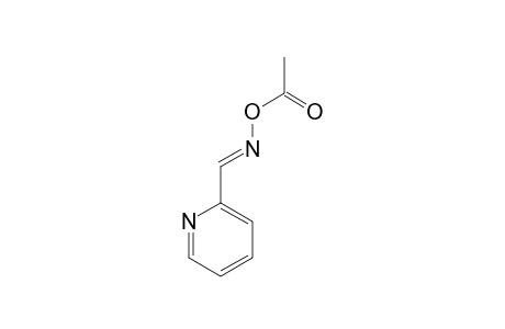 2-Pyridinecarboxaldehyde, o-acetyloxime, (E)-