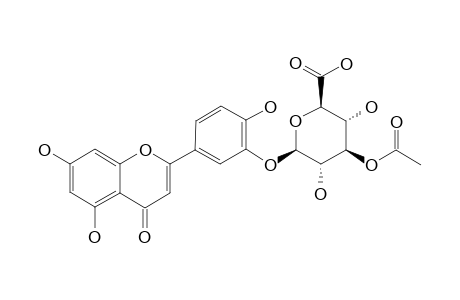 LUTEOLIN-3'-O-(3''-O-ACETYL)-BETA-D-GLUCURONOPYRANOSIDE