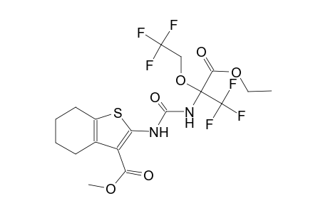 benzo[b]thiophene-3-carboxylic acid, 2-[[[[1-(ethoxycarbonyl)-2,2,2-trifluoro-1-(2,2,2-trifluoroethoxy)ethyl]amino]carbonyl]amino]-4,5,6,7-