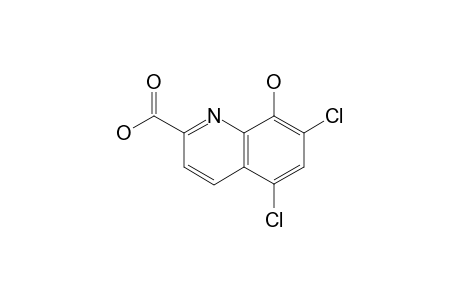 5,7-DICHLORO-8-HYDROXYQUINALDIC ACID