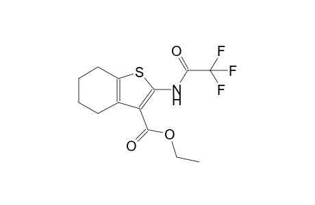 benzo[b]thiophene-3-carboxylic acid, 4,5,6,7-tetrahydro-2-[(trifluoroacetyl)amino]-, ethyl ester