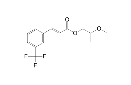 Tetrahydro-2-furanylmethyl (2E)-3-[3-(trifluoromethyl)phenyl]-2-propenoate