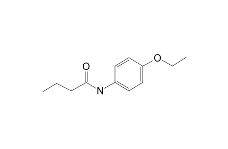 p-Butyrophenetidide