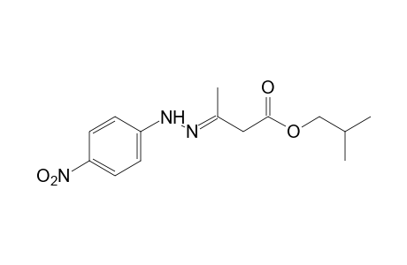 acetoacetic acid, isobutyl ester, p-nitrophenylhydrazone