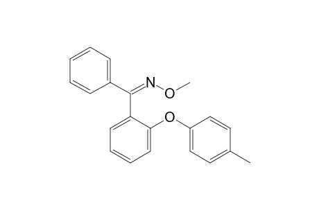 2-(4-Methylphenoxy)benzophenone O-methyloxime