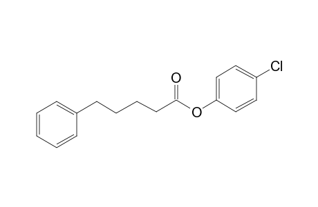 5-Phenylvaleric acid, 4-chlorophenyl ester