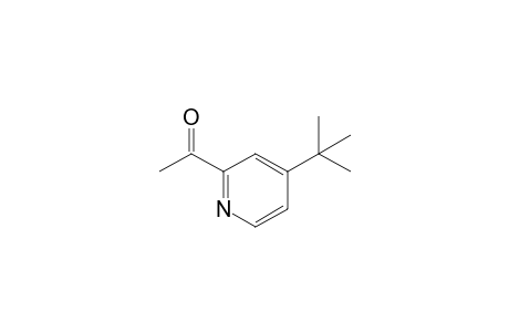 1-(4-tert-butyl-2-pyridinyl)ethanone