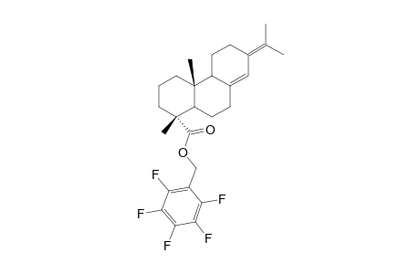 neoabietic acid pentafluorobenzyl ester