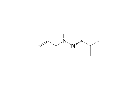 Allylhydrazone isobutyraldehyde