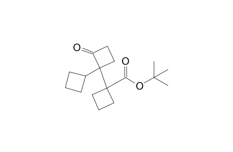 2'-Oxo-[1,1':1',1"]tercyclobutane-1-carboxylic acid tert-butyl ester