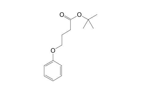 tert-butyl 4-phenoxybutanoate