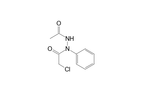 Acetic acid, chloro-, 2-acetyl-1-phenylhydrazide