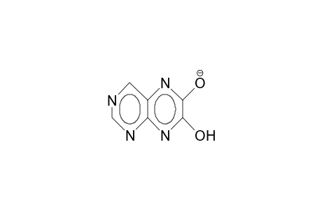6,7-Dioxo-5,6,7,8-tetrahydro-pteridinate anion
