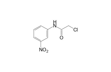 2-Chloro-3'-nitroacetanilide