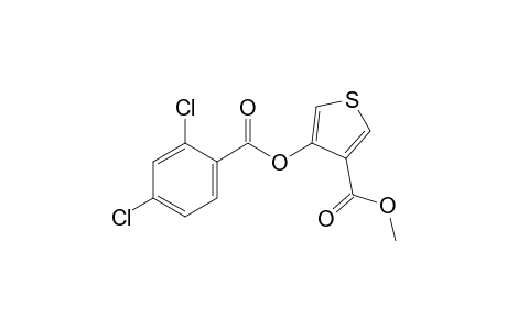 4-hydroxy-3-thiophenecarboxylic acid, methyl ester, 2,4-dichlorobenzoate