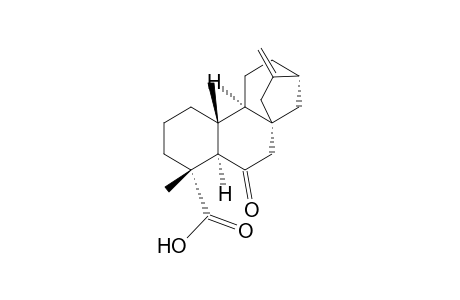 Kaur-16-en-18-oic acid, 6-oxo-, (4.alpha.,5.alpha.)-