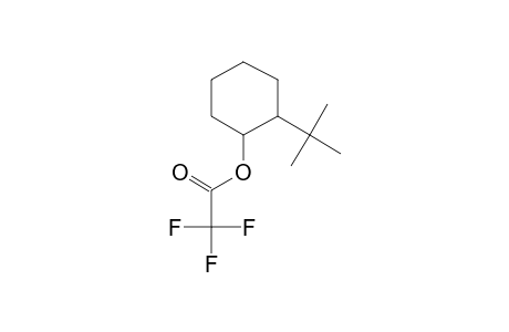 Trans-2-tert-butylcyclohexanol, trifluoroacetate