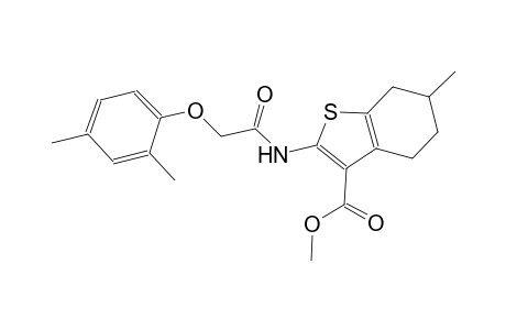 methyl 2-{[(2,4-dimethylphenoxy)acetyl]amino}-6-methyl-4,5,6,7-tetrahydro-1-benzothiophene-3-carboxylate