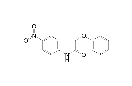 N-(4-nitrophenyl)-2-phenoxy-acetamide