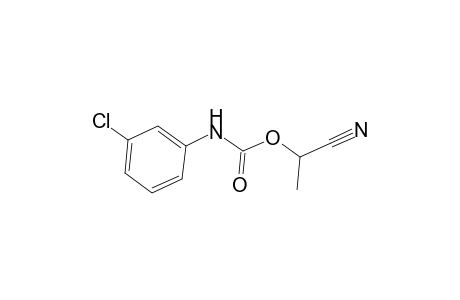 1-cyanoethyl N-(3-chlorophenyl)carbamate