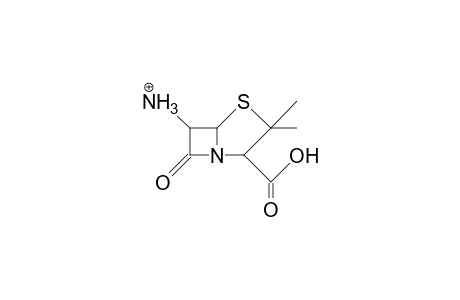 6-Ammonio-penicillanic acid, cation
