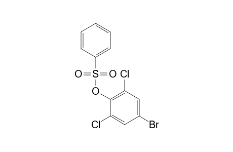 BENZENESULFONIC ACID, 4-BROMO-2,6-DICHLOROPHENYL ESTER