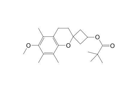 (6-methoxy-5,7,8-trimethyl-spiro[chromane-2,3'-cyclobutane]-1'-yl) 2,2-dimethylpropanoate