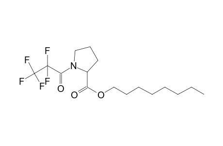 L-Proline, N-pentafluoropropionyl-, octyl ester