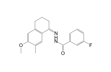 benzoic acid, 3-fluoro-, 2-[(1Z)-3,4-dihydro-6-methoxy-7-methylnaphthalenylidene]hydrazide