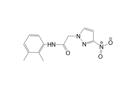 N-(2,3-dimethylphenyl)-2-(3-nitro-1H-pyrazol-1-yl)acetamide