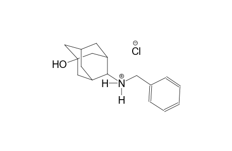 tricyclo[3.3.1.1~3,7~]decan-2-aminium, 5-hydroxy-N-(phenylmethyl)-, chloride