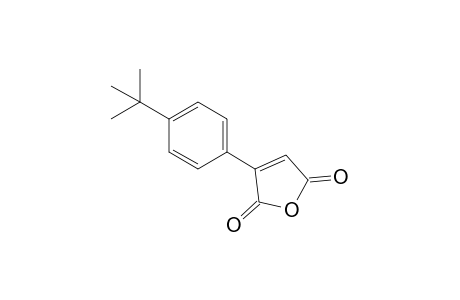 3-(4-tert-butylphenyl)furan-2,5-dione
