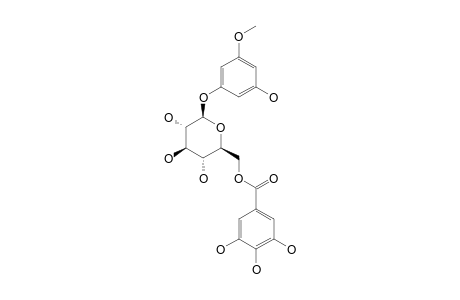 1-O-BETA-D-(6'-O-GALLOYL)-GLUCOPYRANOSYL-3-METHOXY-5-HYDROXYBENZENE