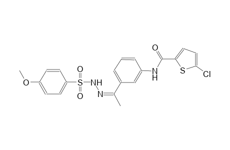 5-chloro-N-(3-{(1Z)-N-[(4-methoxyphenyl)sulfonyl]ethanehydrazonoyl}phenyl)-2-thiophenecarboxamide