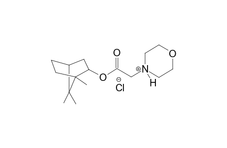 4-{2-oxo-2-[(1,7,7-trimethylbicyclo[2.2.1]hept-2-yl)oxy]ethyl}morpholin-4-ium chloride