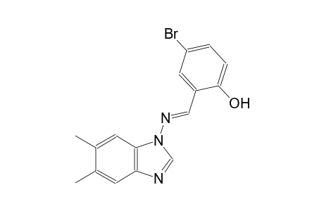 4-bromo-2-{(E)-[(5,6-dimethyl-1H-benzimidazol-1-yl)imino]methyl}phenol