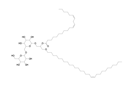 DGDG O-28:1_20:2