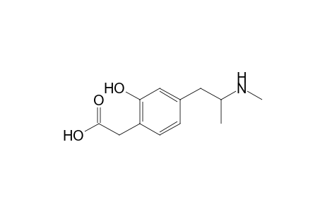 6-MAPB-M (ring cleavage-COOH-) MS2