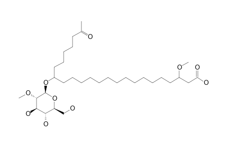 3-METHOXY-17-(2-O-METHYL-BETA-D-GLUCOPYRANOSYLOXY)-23-HYDROXY-TETRACOSANOIC-ACID