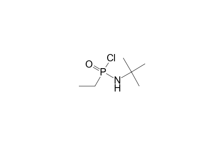 Phosphonamidic chloride, N-(1,1-dimethylethyl)-P-ethyl-